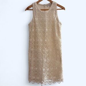 LOFT Lace Midi Dress - Cream